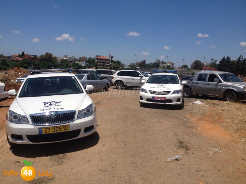 fight 2 famlilesi (1).JPG